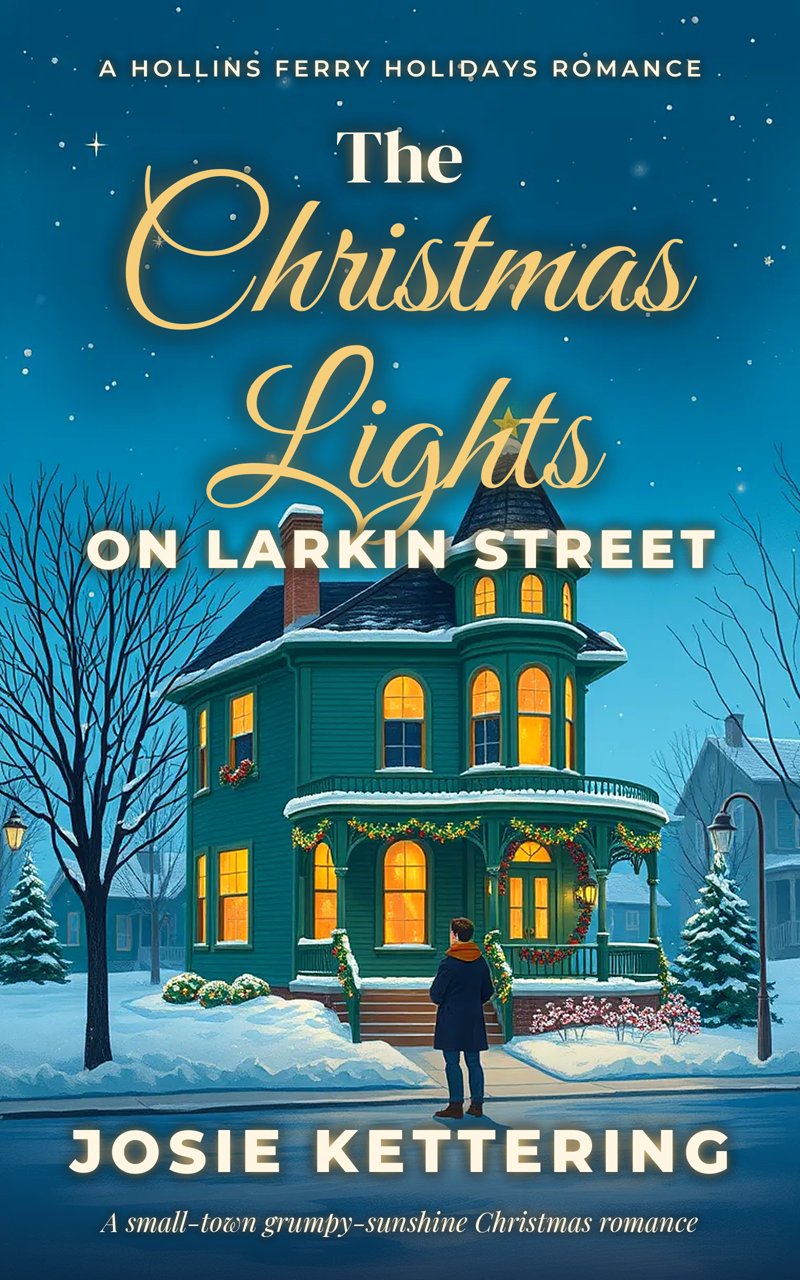 Cover of The Christmas Lights on Larkin Street